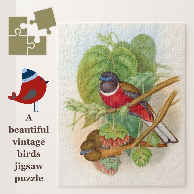 Beautiful Birds Colourful Vintage Illustration Jigsaw Puzzle (A beautiful vintage birds jigsaw for puzzle lovers!)