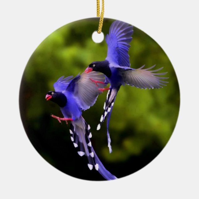 Beautiful Birds in Flight Christmas Tree Ornament (Front)