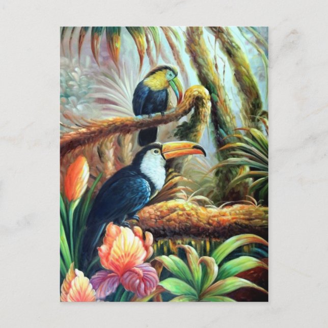 beautiful birds postcards 04 (Front)