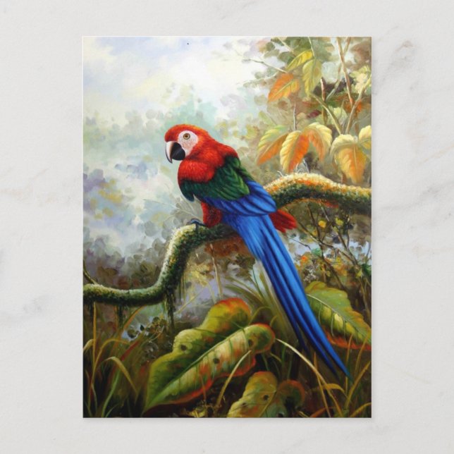 beautiful birds postcards 06 (Front)