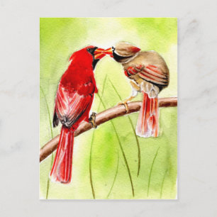 beautiful birds postcards 15