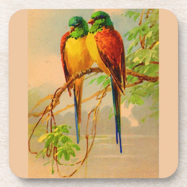 beautiful birds print coaster (Front)