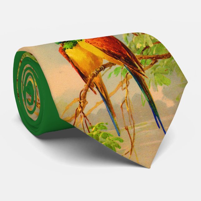 beautiful birds print tie (Rolled)