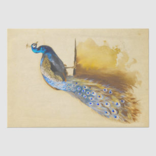 Beautiful birds Royal Peacock Vintage Decoupage Tissue Paper