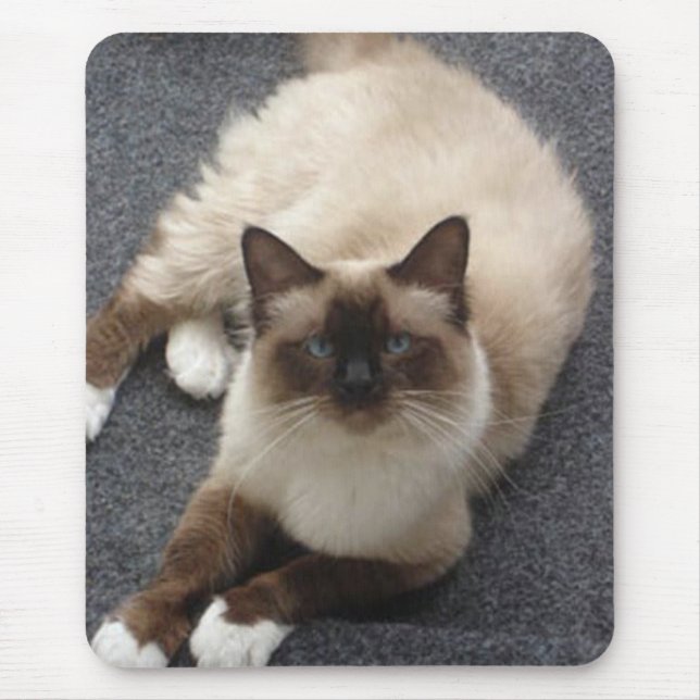 Beautiful Birman cat Mouse Pad (Front)