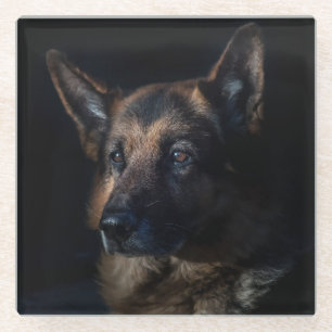 Beautiful Black and Tan German Shepherd Glass Coaster