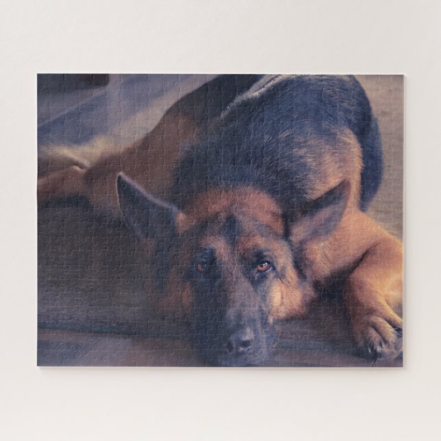 Beautiful  Black and Tan German Shepherd Jigsaw Puzzle (Horizontal)