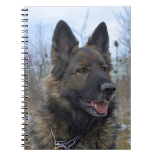 beautiful black and tan German Shepherd puppy Spiral Notebook