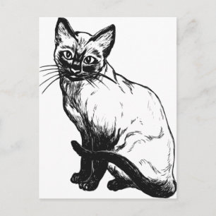 Beautiful black and white artwork - Siamese cat Postcard