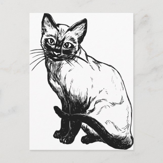 Beautiful black and white artwork - Siamese cat Postcard (Front)
