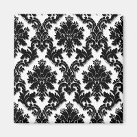 Beautiful Black and White Damask Pattern