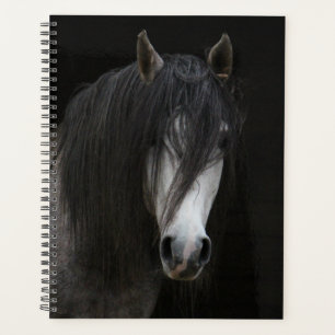 Beautiful Black and White Horse Planner