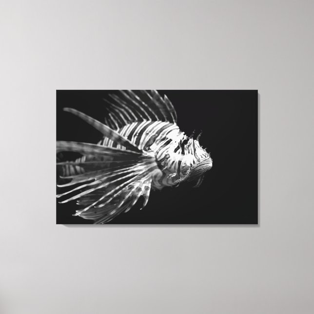 Beautiful Black and White Lionfish Canvas Print (Front)