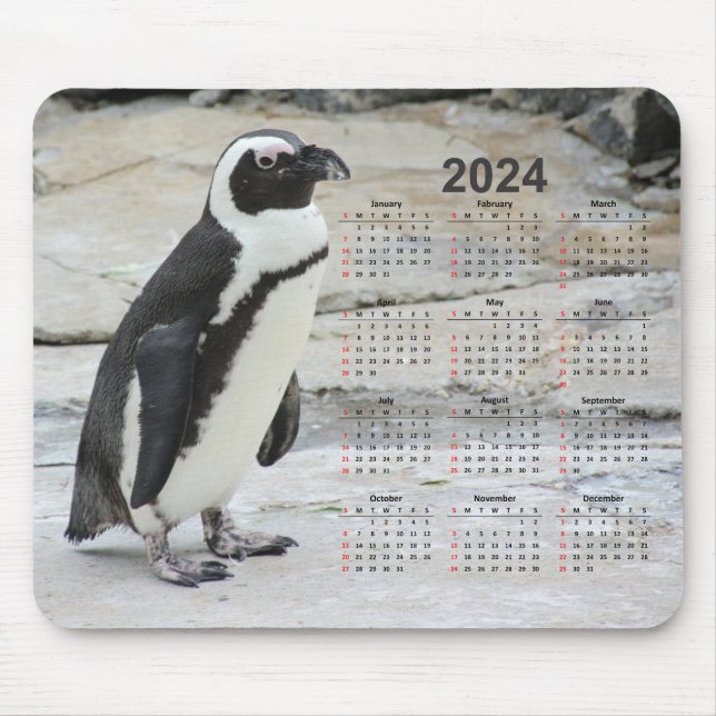 Beautiful Black and White Penguin 2024 Calendar Mouse Pad (Front)
