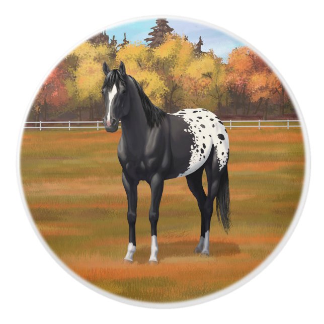 Beautiful Black Appaloosa Quarter Horse Stallion Ceramic Knob (Front)