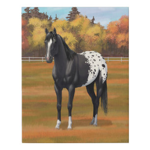 Beautiful Black Appaloosa Quarter Horse Stallion Faux Canvas Print