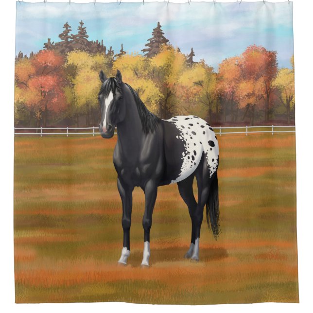 Beautiful Black Appaloosa Quarter Horse Stallion Shower Curtain (Front)