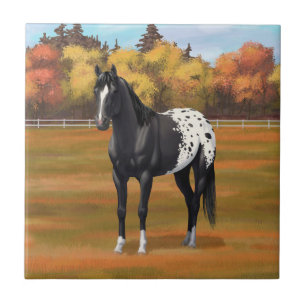 Beautiful Black Appaloosa Quarter Horse Stallion Tile