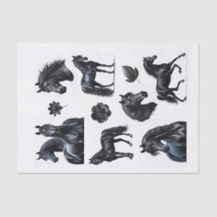 Beautiful Black Arabian Horses Tissue Paper