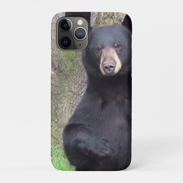 Beautiful Black Bear Enjoying Snack Case-Mate iPhone Case (Back)