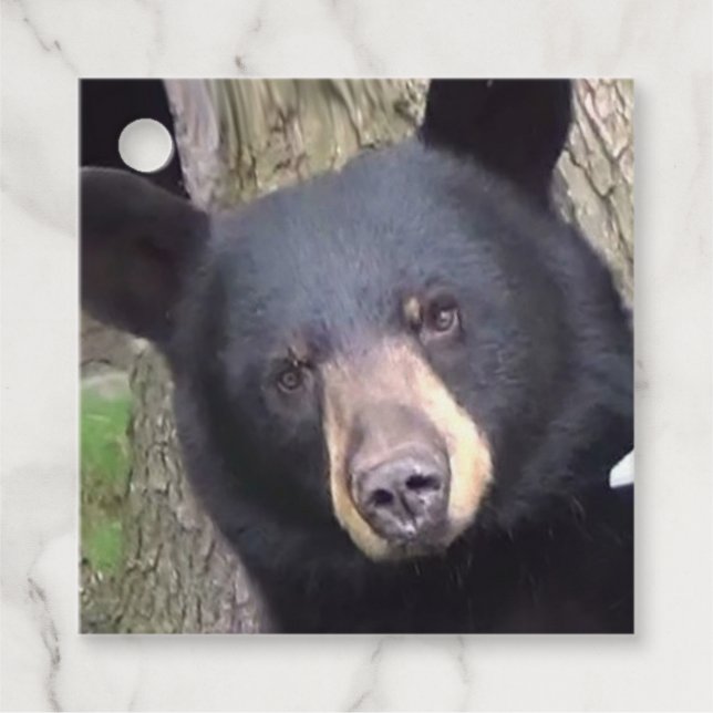 Beautiful Black Bear Favour Tags (Front)
