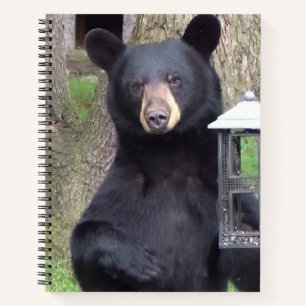 Beautiful Black Bear Notebook