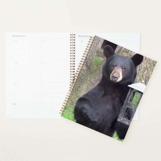 Beautiful Black Bear Planner (Display)