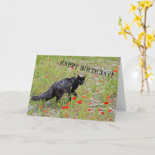 Beautiful Black Cat Birthday Card! Card (Yellow Flower)