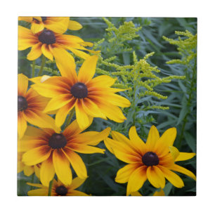 Beautiful black eyed susan flower garden tile