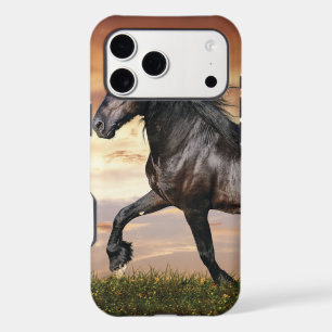 Beautiful Black Horse