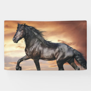 Beautiful Black Horse Banner