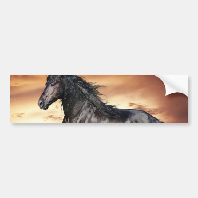 Beautiful Black Horse Bumper Sticker (Front)