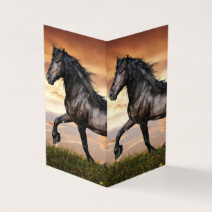 Beautiful Black Horse Business Card