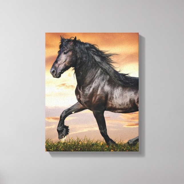 Beautiful Black Horse Canvas Print (Front)