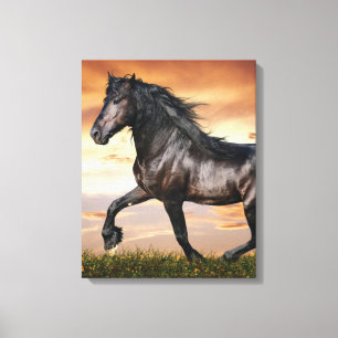 Beautiful Black Horse Canvas Print