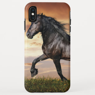Beautiful Black Horse Case-Mate iPhone Case