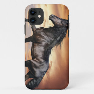 Beautiful Black Horse Case-Mate iPhone Case