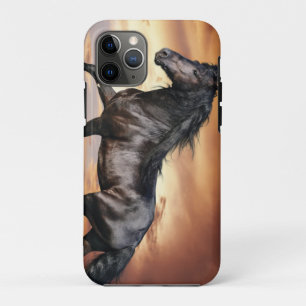 Beautiful Black Horse Case-Mate iPhone Case