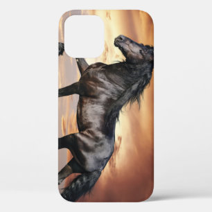Beautiful Black Horse iPhone 12 Case