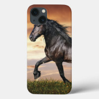 Beautiful Black Horse