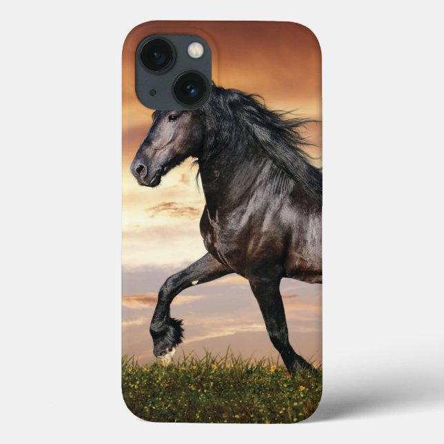 Beautiful Black Horse Case-Mate iPhone Case (Back)