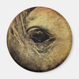 Beautiful Black Horse Eye Magnet