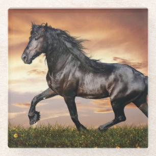 Beautiful Black Horse Glass Coaster