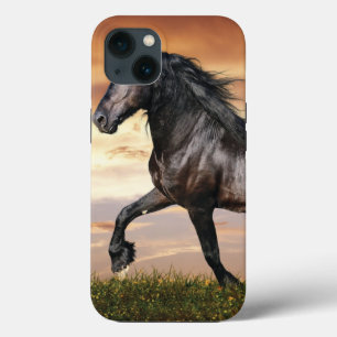Beautiful Black Horse iPhone 13 Case