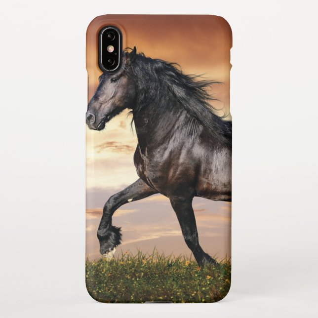 Beautiful Black Horse iPhone Case (Back)