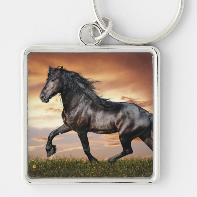 Beautiful Black Horse Key Ring (Front)