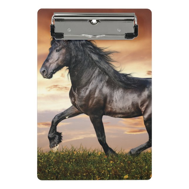 Beautiful Black Horse Mini Clipboard (Front)