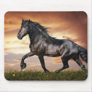 Beautiful Black Horse Mouse Pad