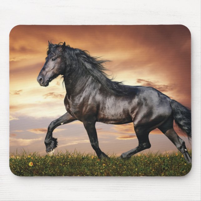 Beautiful Black Horse Mouse Pad (Front)