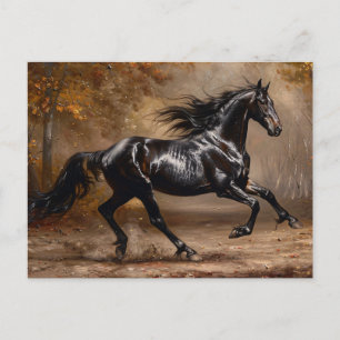 Beautiful Black Horse Oil Painting Postcard